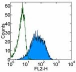 TCL1A Antibody (1-21) - BSA Free, Novus Biologicals 0.1 mg; Unconjugated:Antibodies,